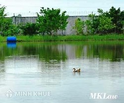 Không giấy tờ gì có đòi lại được đất ao ?
