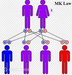 Quy định của pháp luật về kết hôn có quan hệ huyết thống ?