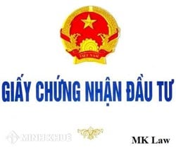 Tư vấn trường hợp 1 giấy chứng nhận đầu tư có cấp được cho nhiều dự án?