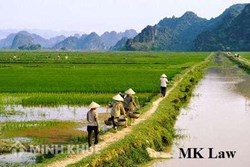 Tư vấn giải quyết việc đất nông nghiệp không canh tác được do không có lối vào ?