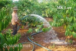 Không cho người khác đi nhờ đường ống nước có vi phạm pháp luật ?