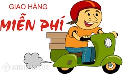 Chủ hàng không giao hàng thì phải làm gì ?