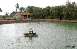 Thủ tục chuyển đất ao sang <strong>làm</strong> <strong>kinh</strong> <strong>tế</strong> VAC ?