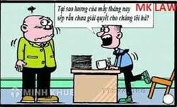 Làm gì khi công ty nợ lương 6 tháng?