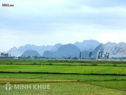 Tư vấn trường hợp có đường dây điện thoại đi qua phần đất ở?