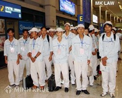 Lao động Việt Nam bị phá vỡ hợp đồng mà không được bồi thường thì đúng hay sai ?