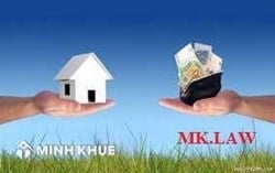 Có được bù lỗ từ hoạt động kinh doanh cho hoạt động chuyển nhượng bất động sản?
