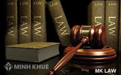 Phân tích nhiệm vụ của Luật Hình sự Việt Nam