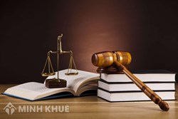 Consulting lawyers of negotiating, drafting and reviewing the commercial, trading contracts