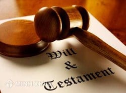 Services of legal documents (In English & Vietnamese)