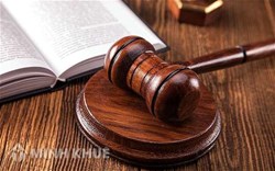 Legal consultancy on land, real eastate and construction law