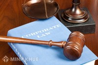 Consultancy on administrative law: