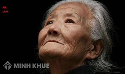 Tư vấn về thẩm quyền giải quyết quan hệ nuôi dưỡng của Tòa án ?