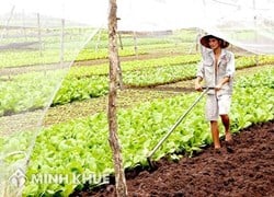 Mẫu tờ khai thuế sử dụng đất nông nghiệp (Mẫu số 02/SDNN)