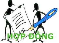 Các điều khoản cần thiết có trong hợp đồng?