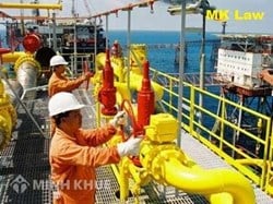 Xin được tư vấn về các chức danh trong công ty ?
