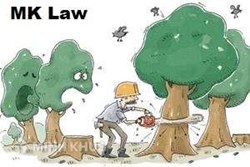 Chặt cây của nhà nước theo lời xúi giục của người khác có bị đi tù không ?