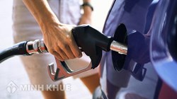 Tư vấn cho Công ty về định mức tiêu hao nhiên liệu ?