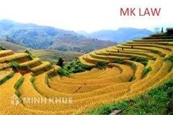 Hỏi về cách xác nhận hạn mức đất ở ?