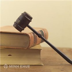 Mẫu văn bản trình duyệt kế hoạch lựa chọn nhà thầu (Mẫu số 1)