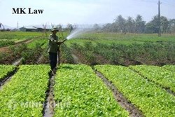 Quyền sử dụng đất tự khai hoang ?