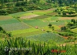 Tư vấn về các thủ tục liên quan đến đất đai ?