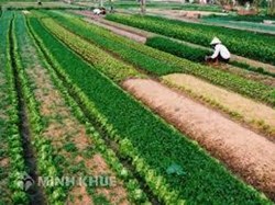 Tư vấn về việc chuyển đổi đất nông nghiệp sang đất ODT?