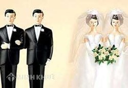 Pháp luật không thừa nhận hôn nhân đồng giới ra sao ?