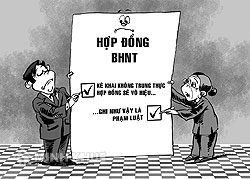 Không đóng bảo hiểm có bị cắt hợp đồng không ?