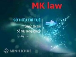 Dán sơn màu khác cho xe máy có vi phạm pháp luật không ?