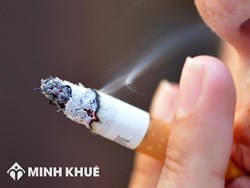 Thủ tục đăng ký giấy phép bán lẻ thuốc lá ?