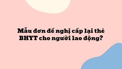 Mẫu đơn đề nghị cấp lại thẻ BHYT cho người lao động ?