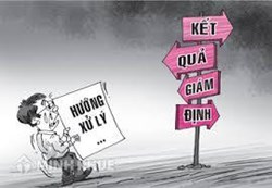 Mẫu kết luận giám định pháp y tâm thần dùng cho giám định theo yêu cầu (Mẫu 12)