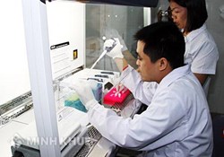 Mẫu biên bản xác minh đối tượng giám định (Mẫu 13)