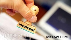 Nợ không có khả năng chi trả thì bị khởi tố dân sự hay hình sự?