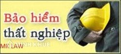 Dừng hưởng bảo hiểm thất nghiệp khi có công việc bán thời gian ?