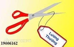 Cho nhân viên ngừng việc không trả lương là đúng hay sai ?
