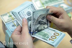 Điều khoản về giá tính bằng đô la Mỹ trong hợp đồng thuê nhà