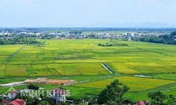 Xử lý tình trạng lấn, chiếm đất hoang do UBND cấp xã quản lý thế nào?