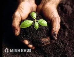 Một số ngành, nghề hạn chế đầu tư đối với nhà đầu tư nước ngoài theo quy định pháp luật Việt Nam