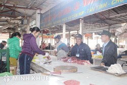Tư vấn về đấu thầu quản lý, khai thác và kinh doanh chợ
