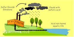 Kho đông lạnh gây ô nhiễm môi trường ?