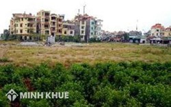 Tư vấn việc sử dụng sai mục đích sử dụng đất nông nghiệp ?