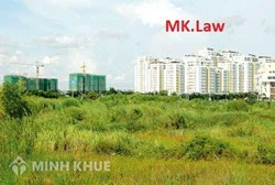 Tư vấn về việc hộ chăn nuôi gây ô nhiễm môi trường?