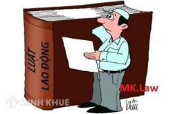 Luật cho phép vợ, chồng ký hợp đồng cùng một cơ quan không ?.