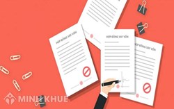 Phân tích bảo lãnh và thế chấp.