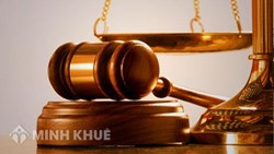 Án lệ số 37/2020/AL về hiệu lực của hợp đồng bảo hiểm tài sản trong trường hợp bên mua bảo hiểm đóng phí bảo hiểm sau khi kết thúc thời hạn đóng phí bảo hiểm