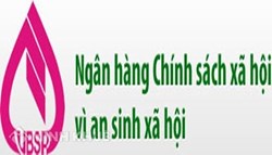 Pháp luật về ngân hàng chính sách - đặc điểm, phân loại và chức năng