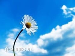 Tù chung thân có được giảm xuống thành tù có thời hạn không ? Mẫu đơn xin giảm án phạt tù ?
