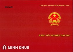 Sử dụng bằng đại học giả bị xử phạt như thế nào ? Làm giả bằng cấp phạm tội gì ?